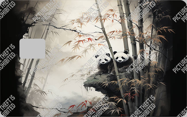 Bank  Card Sticker-BC-2258